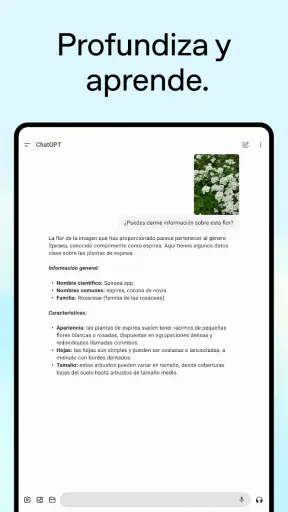 ChatGPT screenshot 10