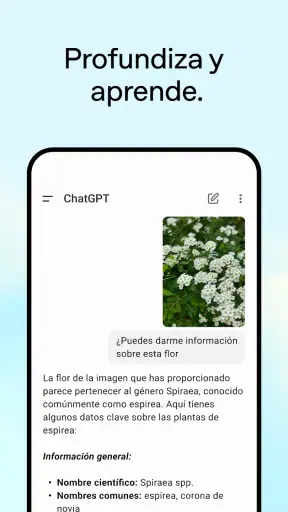 ChatGPT screenshot 4