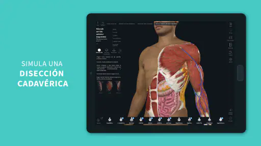 Complete Anatomy screenshot 10