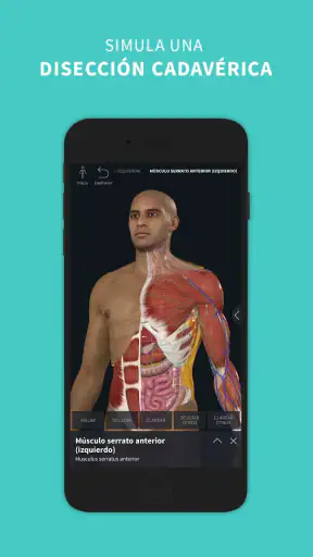 Complete Anatomy screenshot 2