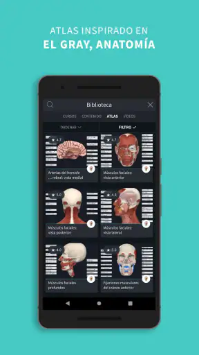 Complete Anatomy screenshot 6