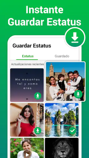 Descargador de Estados y Video screenshot 6
