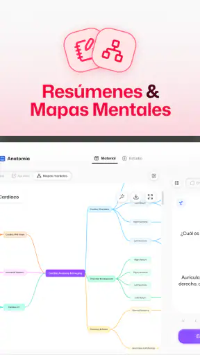 Flashka – Flashcards y Quiz IA screenshot 10