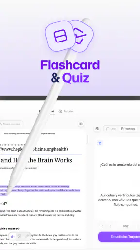Flashka – Flashcards y Quiz IA screenshot 9