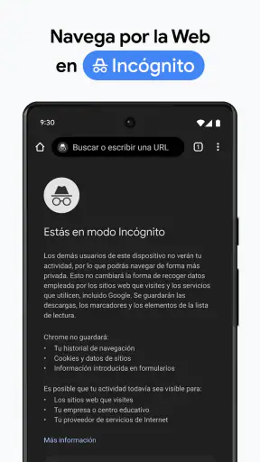 Google Chrome screenshot 6