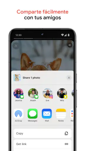 Google Fotos screenshot 5