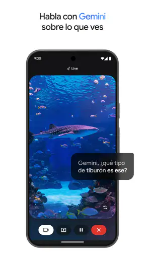 Google Gemini screenshot 3