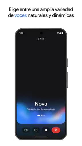 Google Gemini screenshot 8