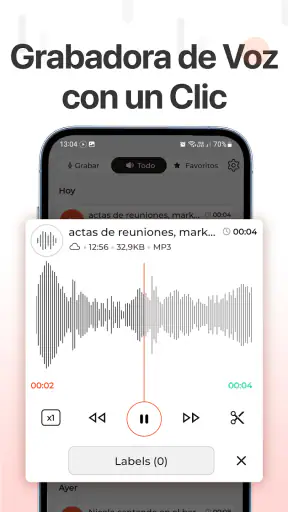 Grabadora de Voz screenshot 2