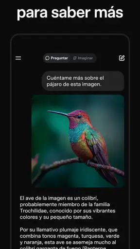 Grok - Asistente de IA screenshot 3