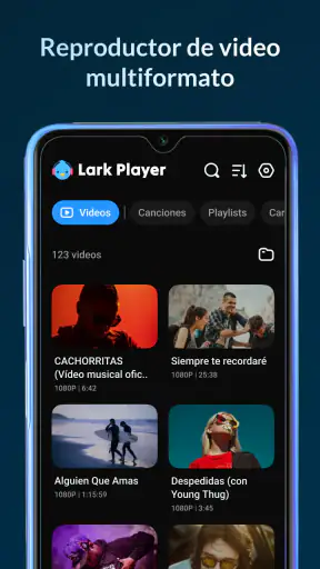 Lark Player:Reproductor Música screenshot 8