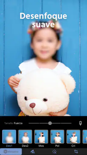 Mosaico+ Desenfoque de Fotos screenshot 3