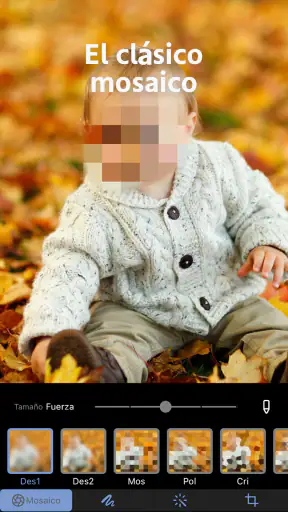 Mosaico+ Desenfoque de Fotos screenshot 7