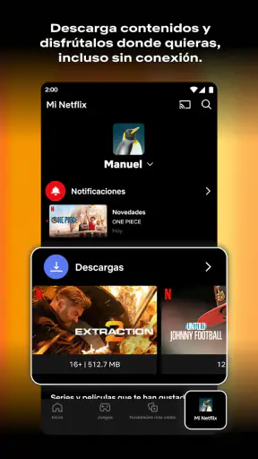 Netflix screenshot 2
