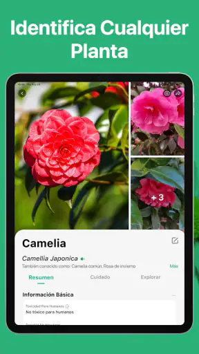 PictureThis Identificar Planta screenshot 10