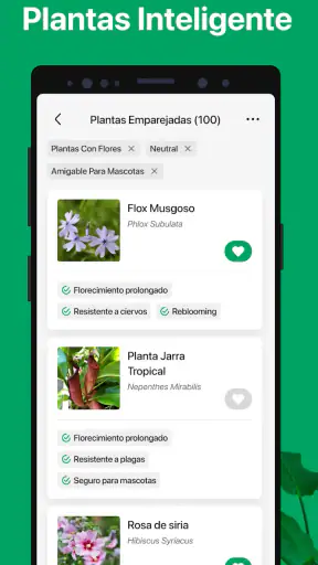 PictureThis Identificar Planta screenshot 8
