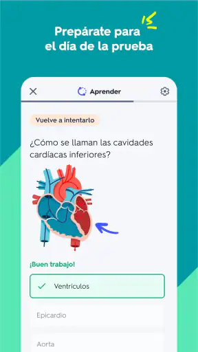 Quizlet: fichas creadas con IA screenshot 3