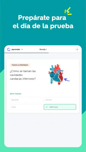 Quizlet: fichas creadas con IA screenshot 8