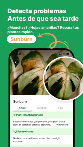 Reconocimiento De Plantas App screenshot 3