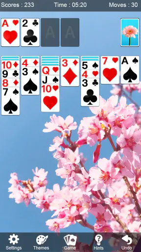 Solitaire - Solitario Clásico screenshot 3