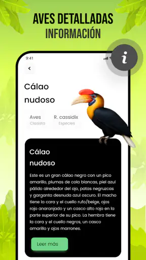 Sonidos de pájaros screenshot 6