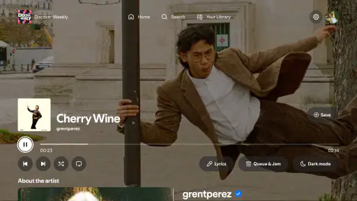 Spotify Music para TV screenshot 11