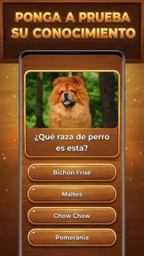 Trivia Madera: Trivia Blocks screenshot 10