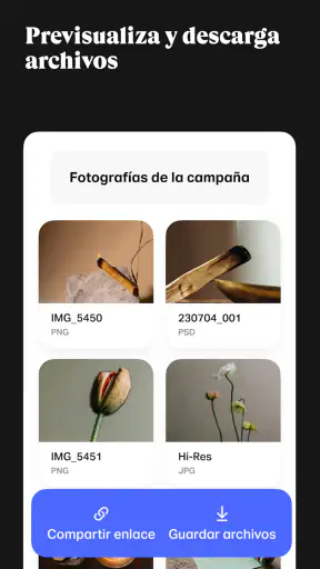 WeTransfer screenshot 4