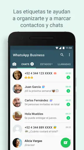 WhatsApp Business screenshot 3