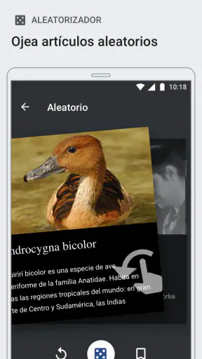 Wikipedia screenshot 2