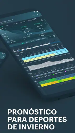 Windy.app - vientos y oleajes screenshot 4