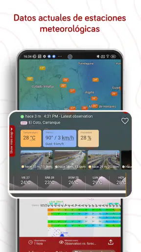 Windy.com: Previsión del clima screenshot 6