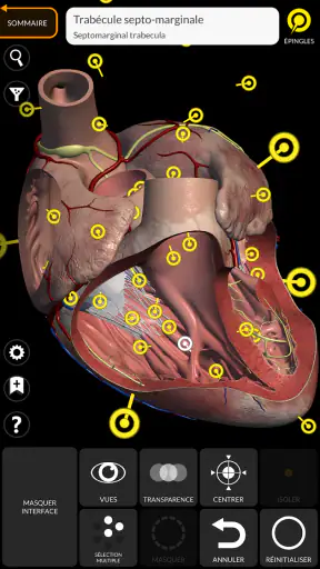 Anatomie - Atlas 3D screenshot