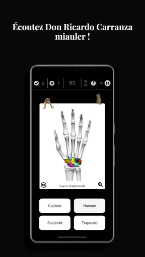 Anatomist - Le Jeu d'Anatomie screenshot