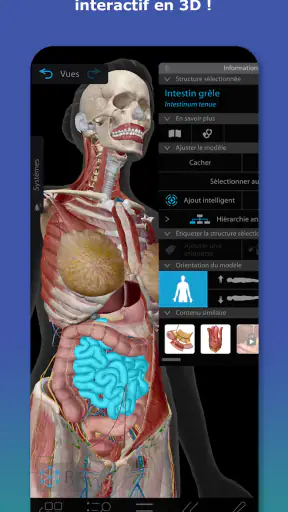 Atlas d'anatomie humaine 2026 screenshot