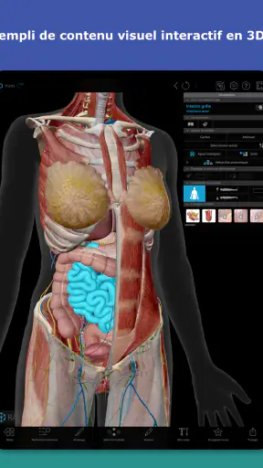 Atlas d'anatomie humaine 2026 screenshot