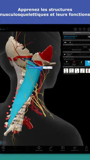 Atlas d'anatomie humaine 2026 screenshot