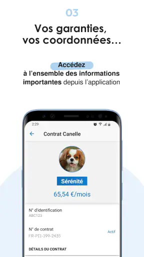 Bulle Bleue screenshot 4