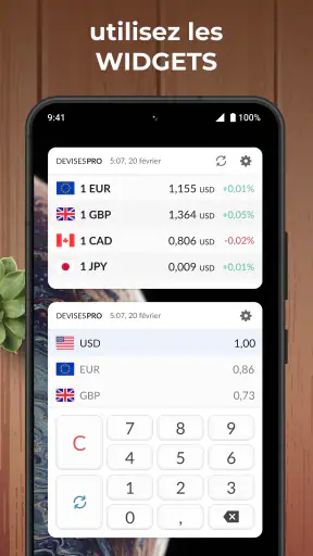 Convertisseur de Monnaie Plus screenshot