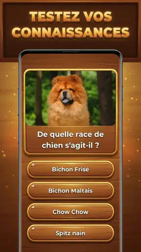Défi Trivia : Trivia Blocks screenshot 10