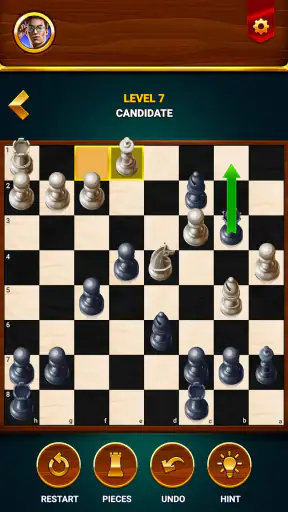 Échecs - Jeu Hors Ligne screenshot