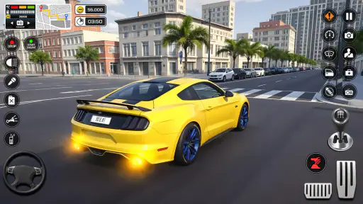 Expert Car Driving Academy screenshot