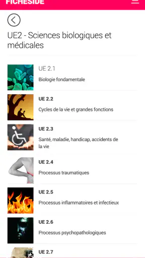 Fiches IDE screenshot
