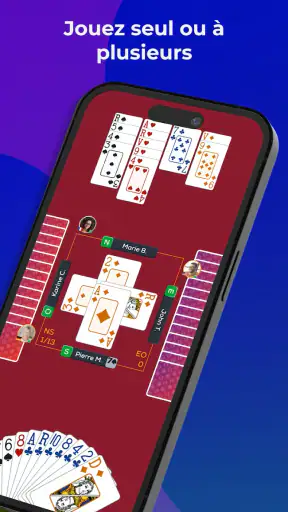 Fun Bridge screenshot