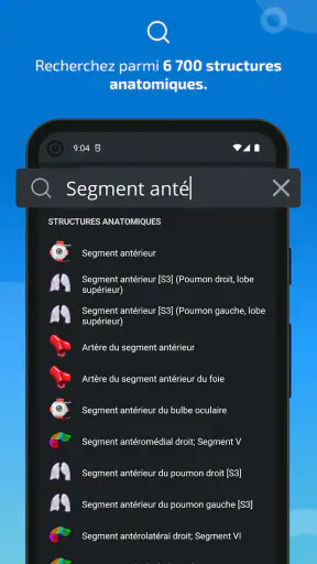 IMAIOS e-Anatomy screenshot