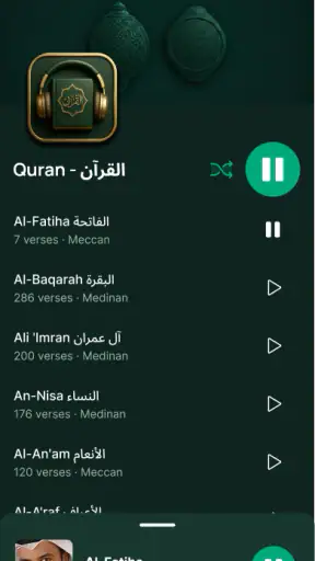 Lecteur Coran audio hors ligne screenshot 10