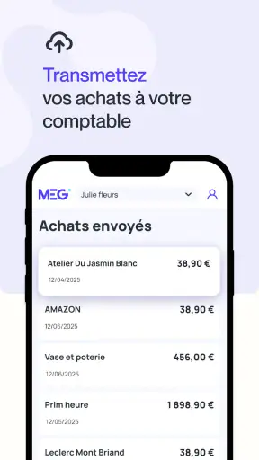 MEG - Mon Expert en Gestion screenshot 3