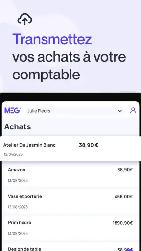 MEG - Mon Expert en Gestion screenshot 8