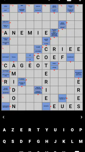 Mots Fléchés Français screenshot