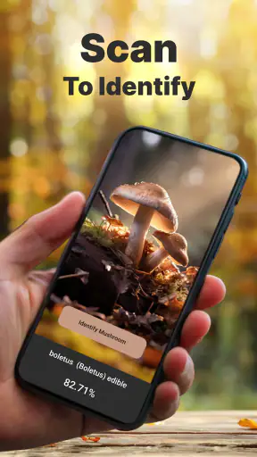 Mushromizer screenshot 1